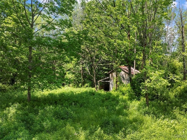 563 Clemons Rd, Frankfort, NY 13340 - photo 47