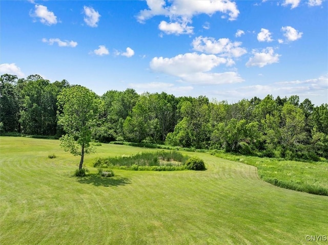 563 Clemons Rd, Frankfort, NY 13340 - photo 48