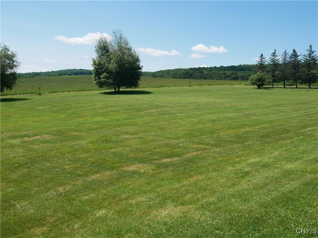 Gorton Lake Rd, Brookfield, NY 13314