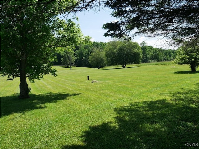 Gorton Lake Rd, Brookfield, NY 13314