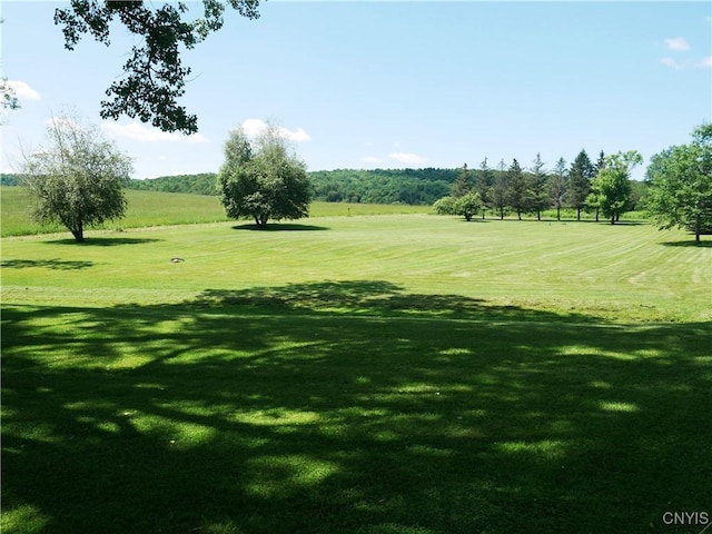 Gorton Lake Rd, Brookfield, NY 13314