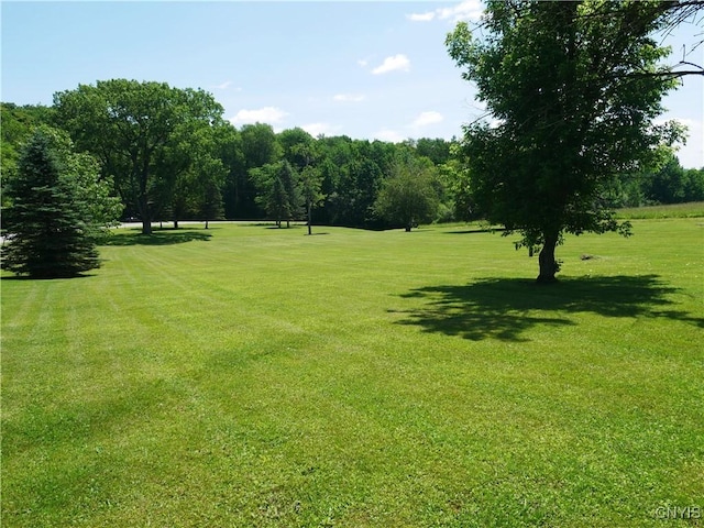 Gorton Lake Rd, Brookfield, NY 13314