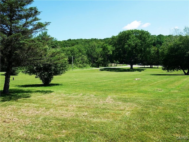 Gorton Lake Rd, Brookfield, NY 13314