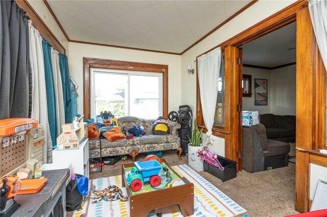 147 Springfield Ave, Rochester, NY 14609 - living room with carpet flooring and crown molding
