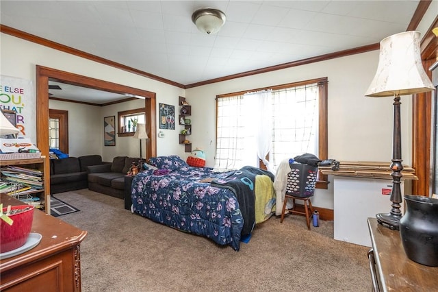 147 Springfield Ave, Rochester, NY 14609 - bedroom featuring carpet and ornamental molding
