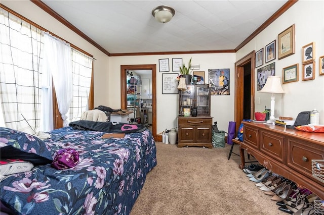 147 Springfield Ave, Rochester, NY 14609 - bedroom with ornamental molding and carpet floors