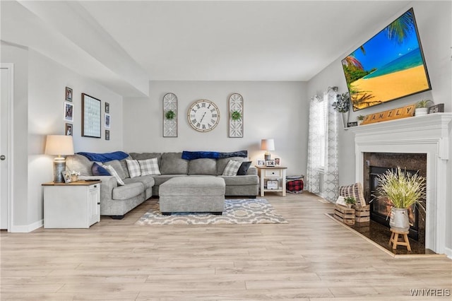 111 Aegean Ave, Amherst, NY 14228 - living room featuring a fireplace with flush hearth and light wood-style flooring
