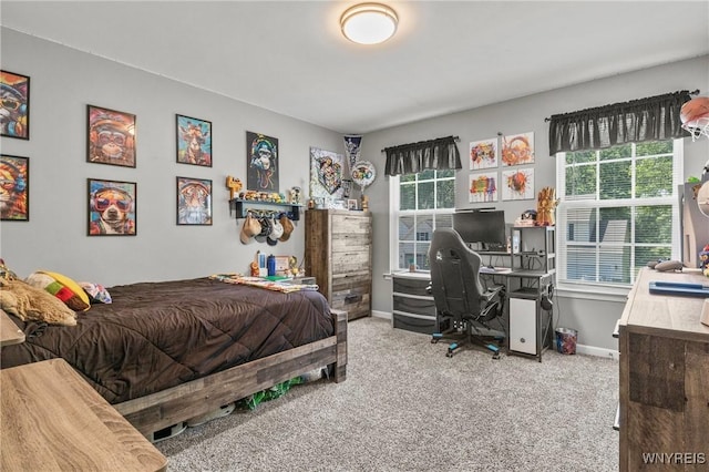 111 Aegean Ave, Amherst, NY 14228 - carpeted bedroom featuring multiple windows and an office area