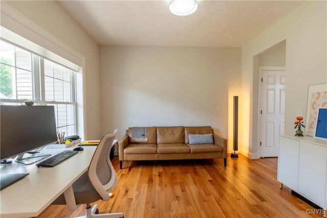 3427 Tall Tree Ln, Lysander, NY 13027 - home office featuring light wood-style floors