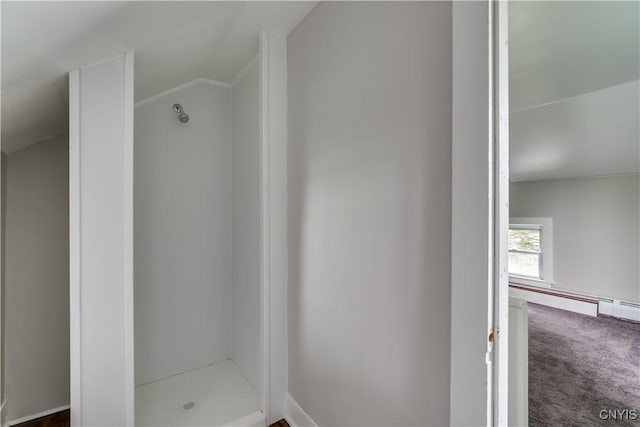 713 Parham St, Wilna, NY 13619 - bathroom with lofted ceiling and a shower