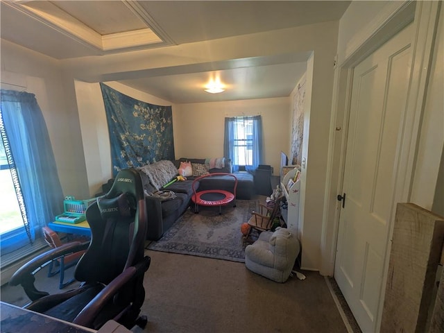 10 Mcclellan Ave, Mount Jewett Boro, PA 16740 - view of carpeted living room