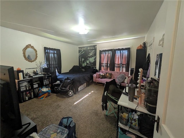 10 Mcclellan Ave, Mount Jewett Boro, PA 16740 - view of carpeted bedroom