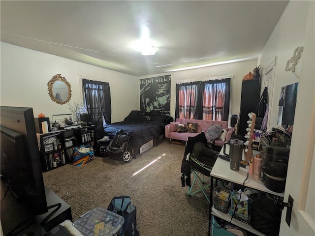 10 Mcclellan Ave, Mount Jewett Boro, PA 16740 - bedroom with carpet flooring
