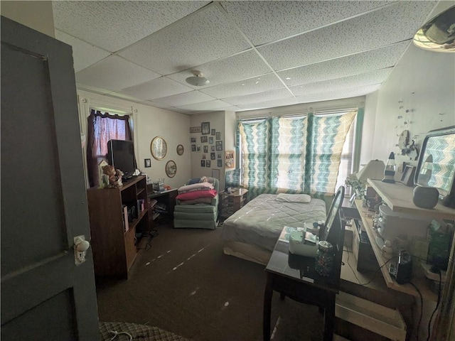 10 Mcclellan Ave, Mount Jewett Boro, PA 16740 - carpeted bedroom featuring a paneled ceiling and multiple windows