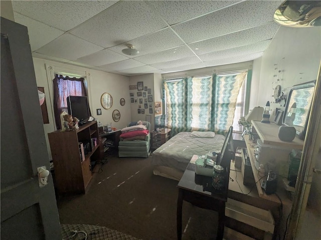 10 Mcclellan Ave, Mount Jewett Boro, PA 16740 - bedroom featuring a paneled ceiling and carpet floors