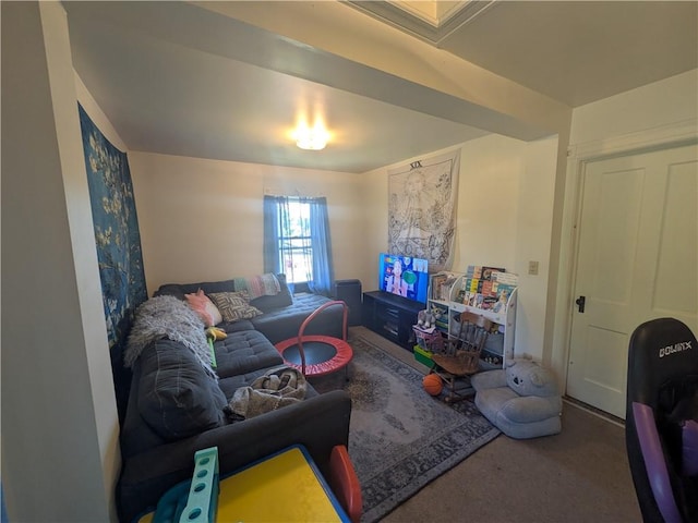 10 Mcclellan Ave, Mount Jewett Boro, PA 16740 - living room with carpet