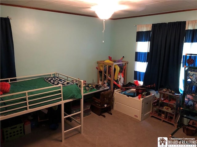 11456 1st St, Dayton, NY 14041 - photo 43