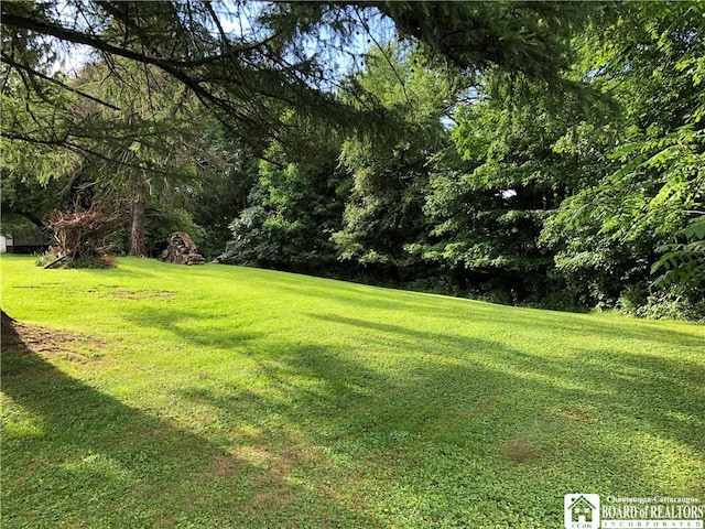 11456 1st St, Dayton, NY 14041 - photo 14