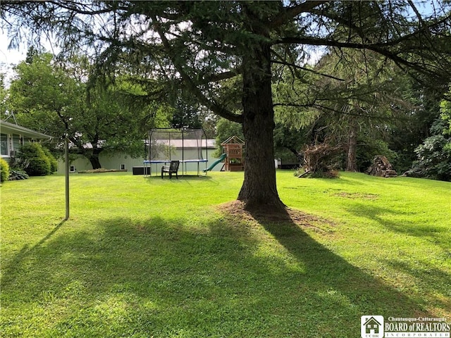 11456 1st St, Dayton, NY 14041 - photo 13