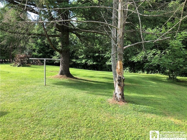 11456 1st St, Dayton, NY 14041 - photo 15