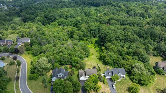 6915 Proximity Ln, Victor, NY 14564 - drone / aerial view of a forest
