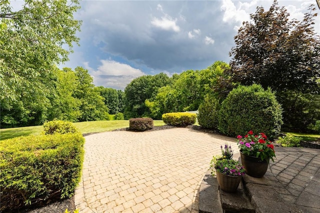 6915 Proximity Ln, Victor, NY 14564 - view of patio