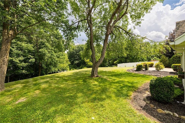6915 Proximity Ln, Victor, NY 14564 - view of green lawn