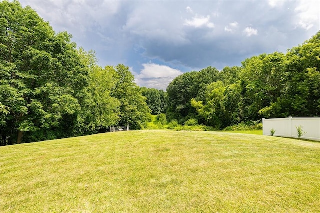 6915 Proximity Ln, Victor, NY 14564 - view of yard featuring a wooded view