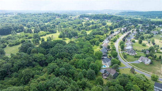 6915 Proximity Ln, Victor, NY 14564 - aerial view