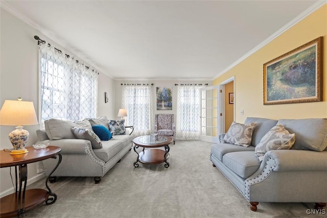 331 Hickory Ln, Hastings, NY 13036 - living area featuring ornamental molding, healthy amount of natural light, and carpet floors