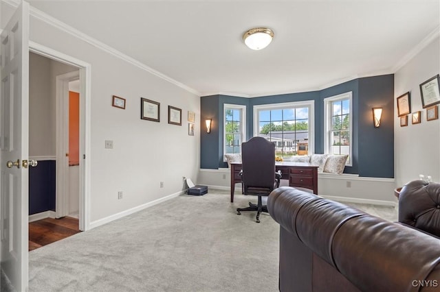 331 Hickory Ln, Hastings, NY 13036 - carpeted office featuring crown molding and baseboards