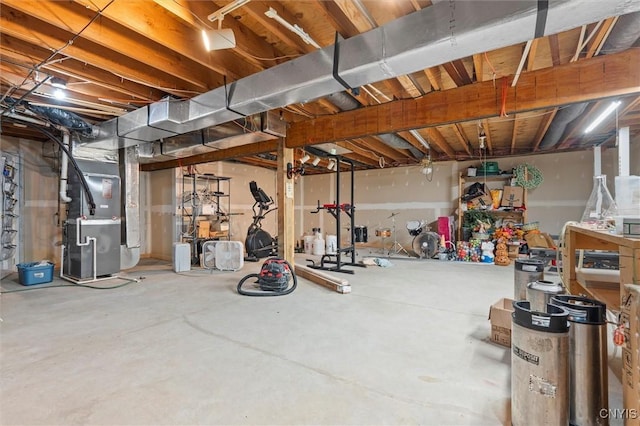 331 Hickory Ln, Hastings, NY 13036 - unfinished below grade area with heating unit