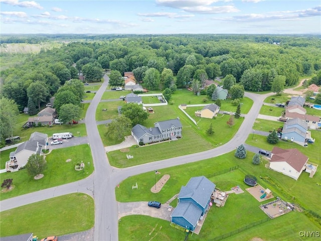 331 Hickory Ln, Hastings, NY 13036 - aerial perspective of suburban area featuring a forest