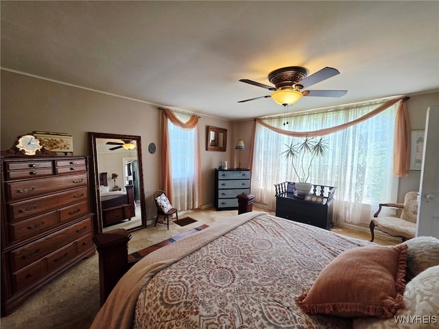 8242 Cole Rd, Boston, NY 14033 - photo 14