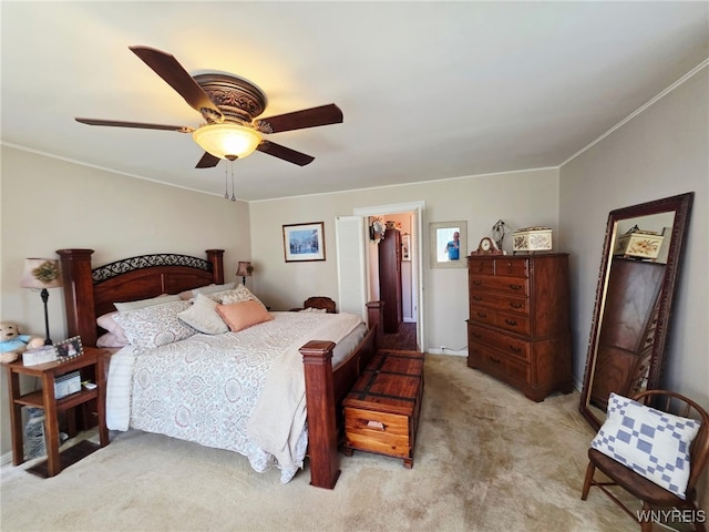 8242 Cole Rd, Boston, NY 14033 - photo 13