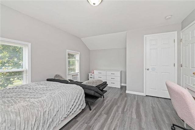 1084 Plymouth Ave S, Rochester, NY 14608 - bedroom with wood finished floors and vaulted ceiling