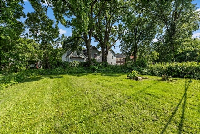 1084 Plymouth Ave S, Rochester, NY 14608 - view of green lawn