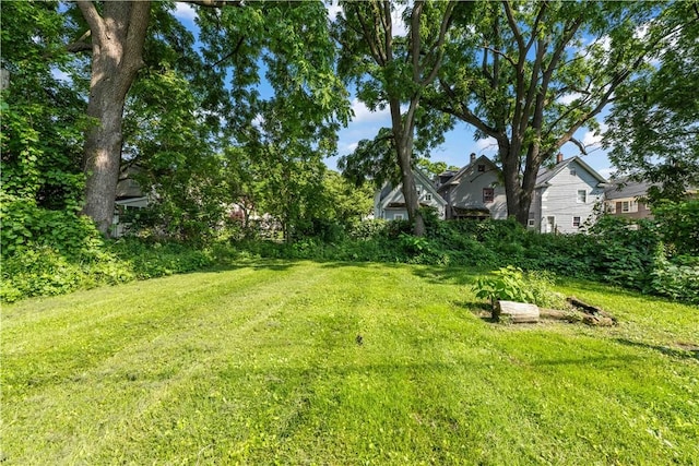 1084 Plymouth Ave S, Rochester, NY 14608 - view of green lawn