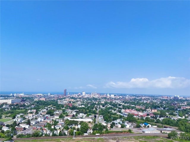 89 Jones St, Buffalo, NY 14206 - photo 47