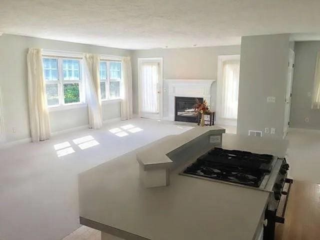 1369 Pittsford Mendon Rd, Mendon, NY 14506 - kitchen with a glass covered fireplace, range with gas stovetop, and carpet flooring