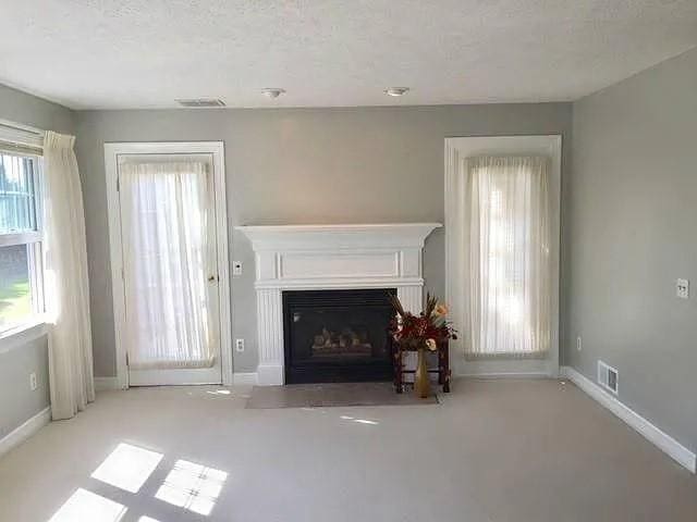 1369 Pittsford Mendon Rd, Mendon, NY 14506 - living area featuring a glass covered fireplace, a textured ceiling, and carpet