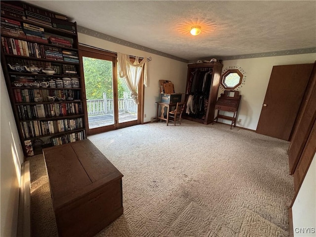 237 E Hamilton Ave, Sherrill, NY 13461 - sitting room featuring carpet floors and a textured ceiling