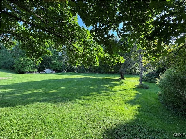 237 E Hamilton Ave, Sherrill, NY 13461 - view of green lawn