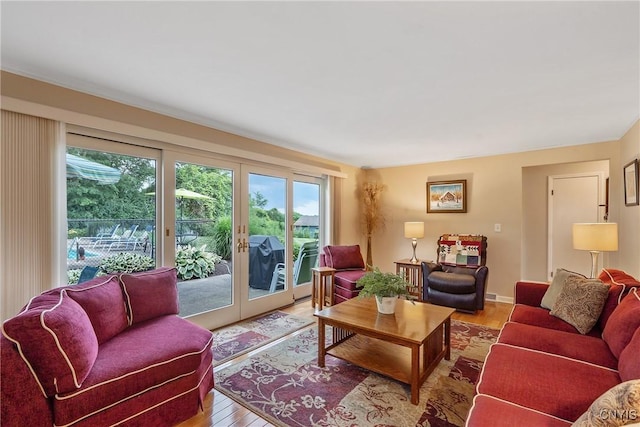 1705 Lancelot Pl, Skaneateles, NY 13152 - living area with healthy amount of natural light, light wood-type flooring, and french doors
