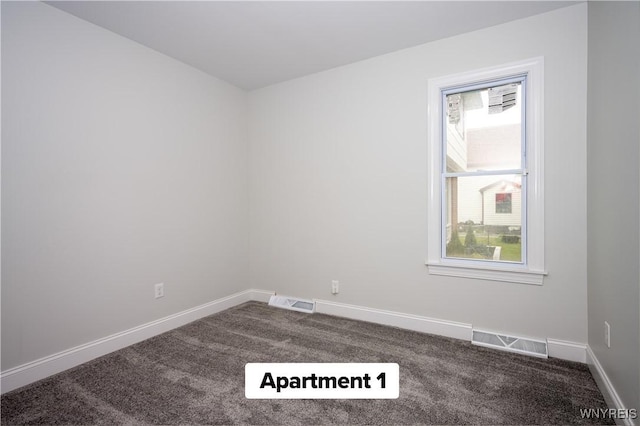 88 Schiller St, Buffalo, NY 14206 - photo 15