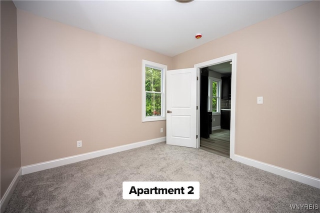 88 Schiller St, Buffalo, NY 14206 - photo 24