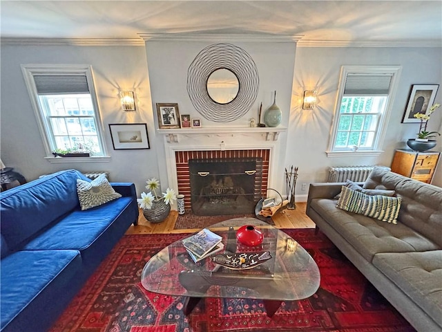 290 Hollywood Ave, Brighton, NY 14618 - living area featuring wood finished floors, a fireplace, radiator, and crown molding