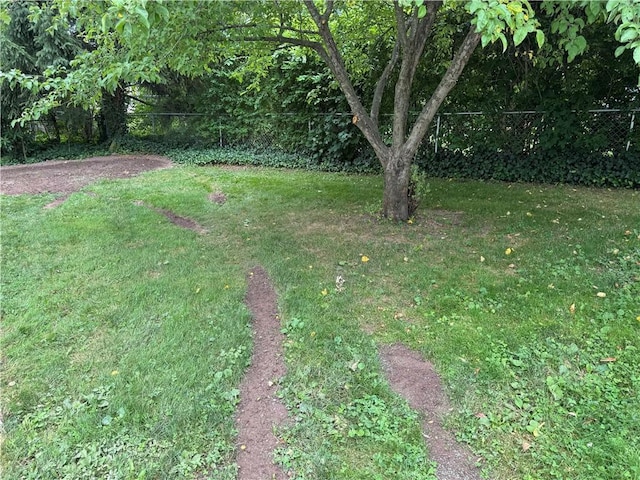 290 Hollywood Ave, Brighton, NY 14618 - view of yard