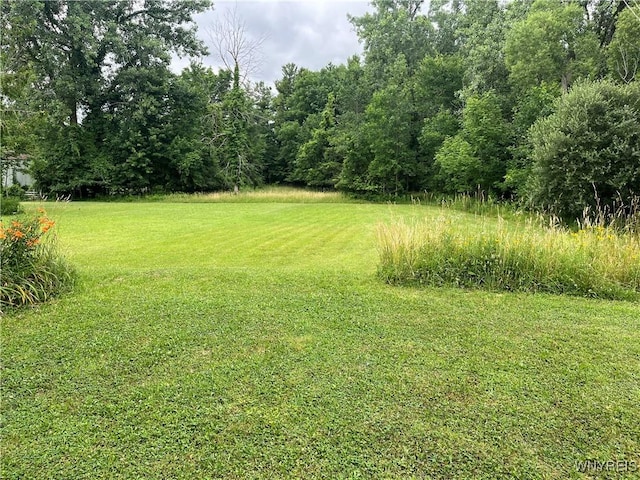11310 Stage Rd, Newstead, NY 14001 - photo 2