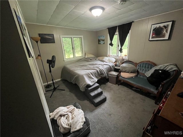 11310 Stage Rd, Newstead, NY 14001 - photo 11